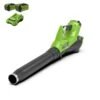 Greenworks Accu Bladblazer 40V Met 2x 2.0Ah Accu En Lader -Beste Tuinmachines Winkel 12167 0 800x800 1