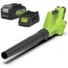 Greenworks 24 Volt Accu Bladblazer Met 4.0 Ah Accu En Lader 1 Greenworks 24 Volt Accu Bladblazer Met 4.0 Ah Accu En Lader -Beste Tuinmachines Winkel 12316 0 800x800 1