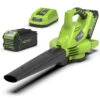 Greenworks Bladblazer/Zuiger 40V DIGIPRO Met 4.0Ah Accu En Lader -Beste Tuinmachines Winkel 13556 0 800x800 1