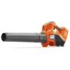 Husqvarna Accu Bladblazer 120iB Basic -Beste Tuinmachines Winkel 16582 0 800x800 1