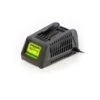 Greenworks Acculader 24Volt 1 Greenworks Acculader 24Volt -Beste Tuinmachines Winkel 6331 0 800x800 1