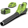 Greenworks Accu Bladblazer 40V Met 2.0Ah Accu En Lader -Beste Tuinmachines Winkel 9719 0 800x800 1